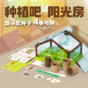 科答鸭 儿童种植生长玩具阳光房DIY科教生物植物自然科学实验套装
