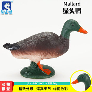 精品动物实心鸭模型玩具 绿头鸭 牧场家禽家畜手办 早教教具