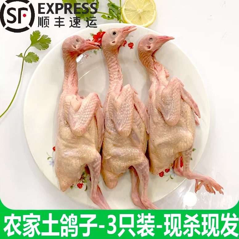 顺丰包邮新鲜鸽子肉乳鸽生鲜冷冻农家散养肉鸽土鸽子现杀老鸽子肉,水产肉类/新鲜蔬果/熟食,乳鸽,淘宝优惠券,粉丝福利购,淘宝优惠卷