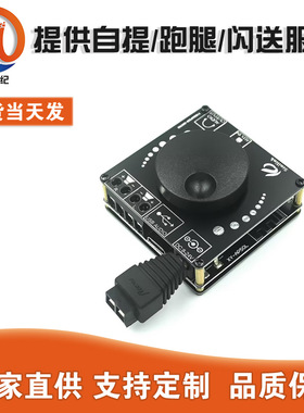 40W50WX2立体声蓝牙数字功放板12V/24V 10W15W20W AP50L/AP15H