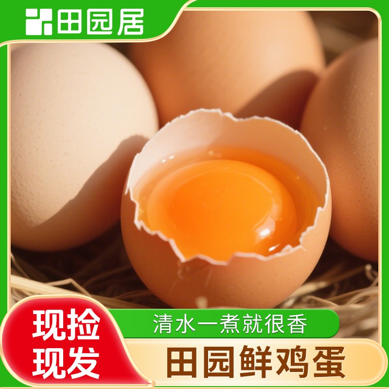 田园居新鲜鸡蛋农村散养土鸡蛋
