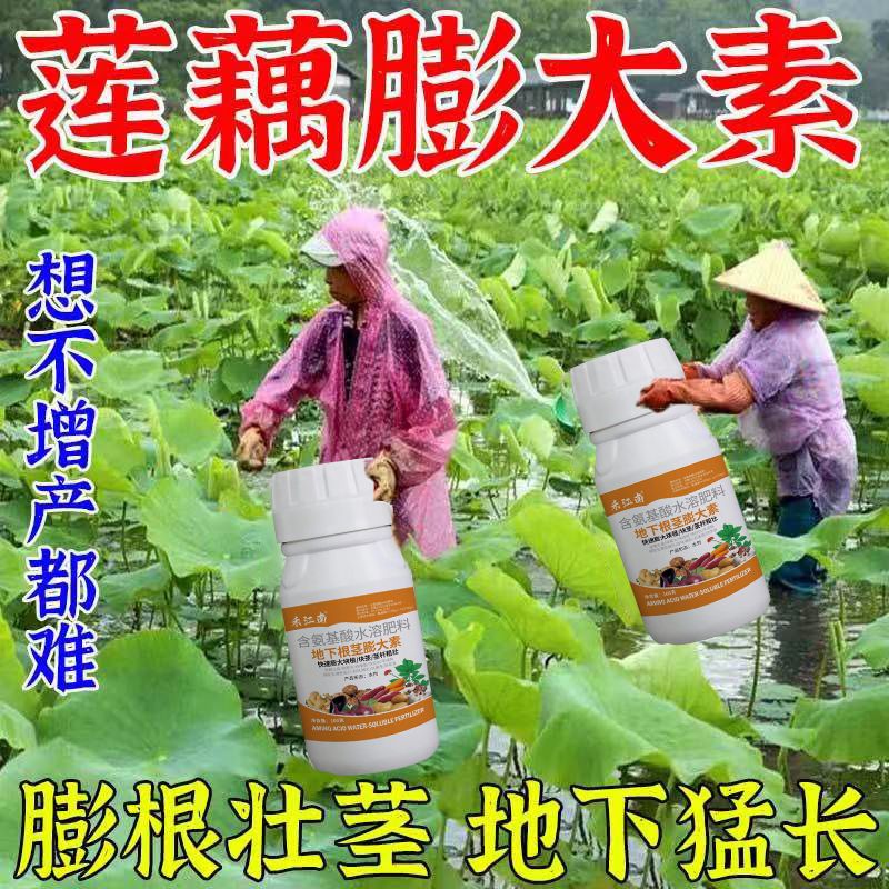 莲藕专用膨大素地下猛长