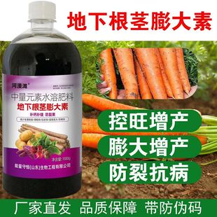 根茎膨大素强效原装红薯地瓜土豆山药花生根茎块茎根茎块茎膨大