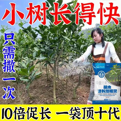 树木生长素猛长速特快果