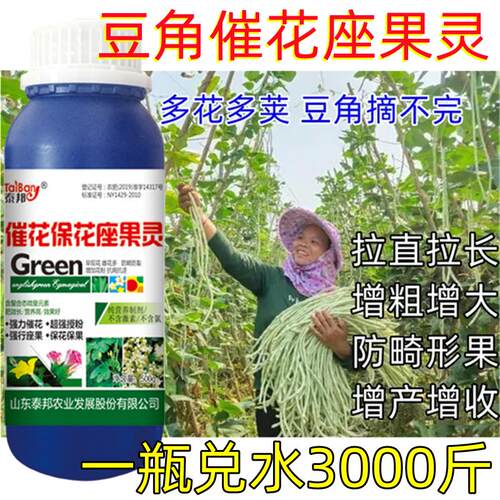 豆角授粉药座果精专用花