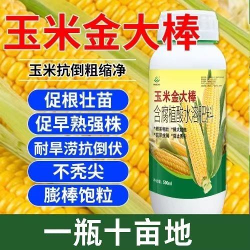 金大棒玉米专用拉长叶面