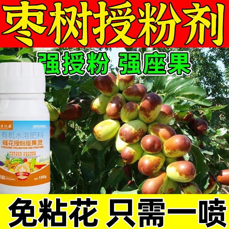 枣树授粉座果精药免沾花