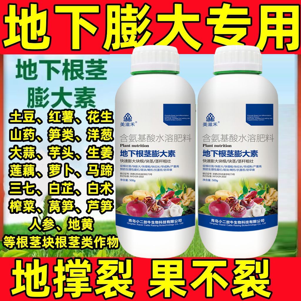 地下猛长根茎膨大素土豆