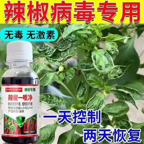 辣椒专用植物一整套保护作物