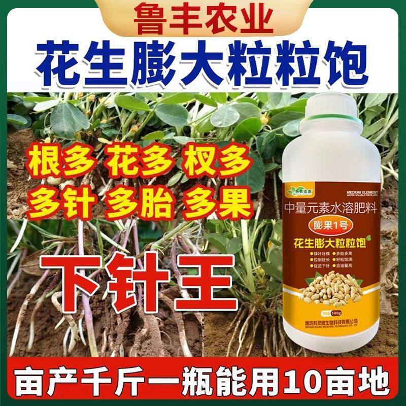 花生粒粒饱正品高效高产