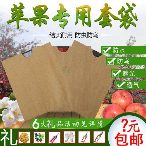 苹果专用套袋瑞雪苹果套袋果袋育果袋水果套袋青苹果袋子柠檬套袋