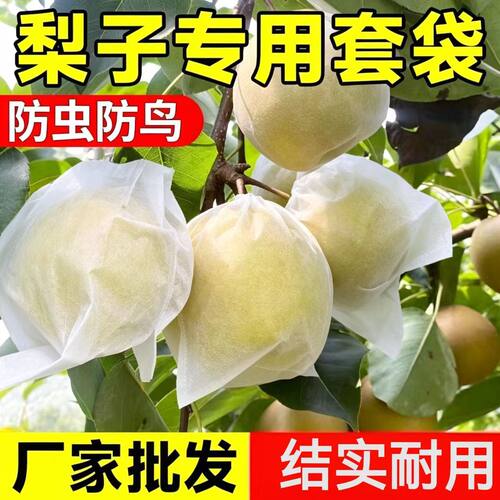 无纺布桃子专用黄桃套袋