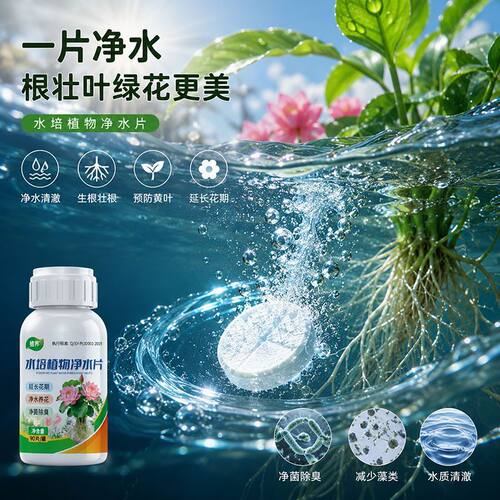 净水免换水培植物通用鲜