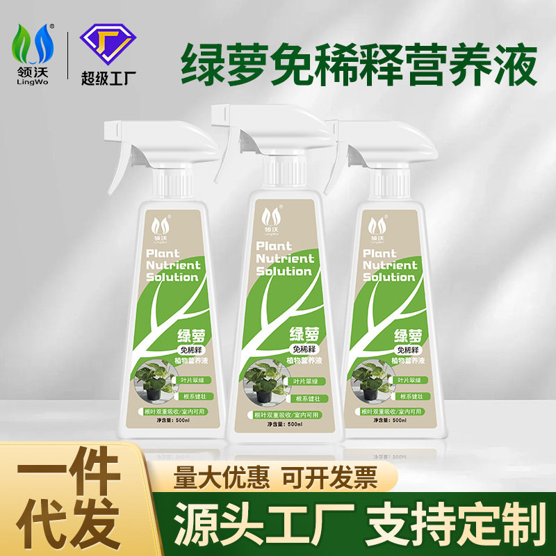 领沃绿萝肥料营养液专用免稀释花卉植物通用型绿箩盆栽花卉治黄叶
