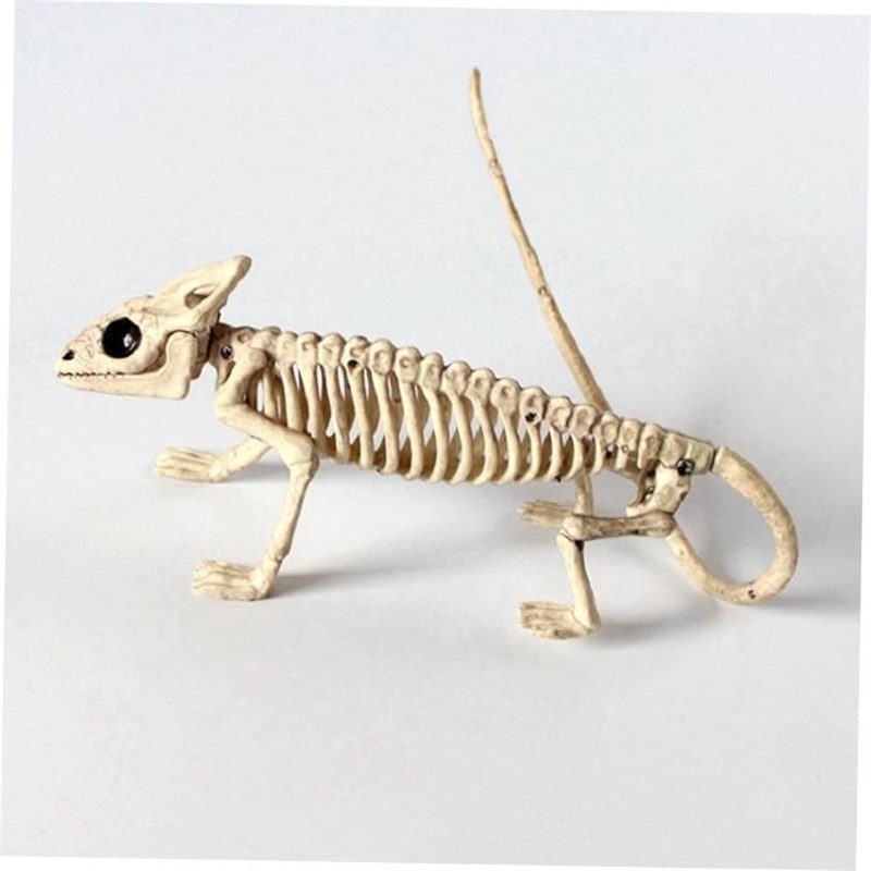 Halloween Decoration Animal Skeleton Hallowmas House Party O