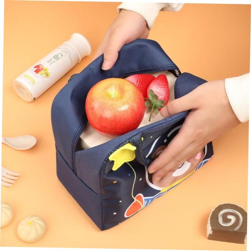 Thermal Insulated Lunch Box Tote Food Small Cooler Bag Pouch