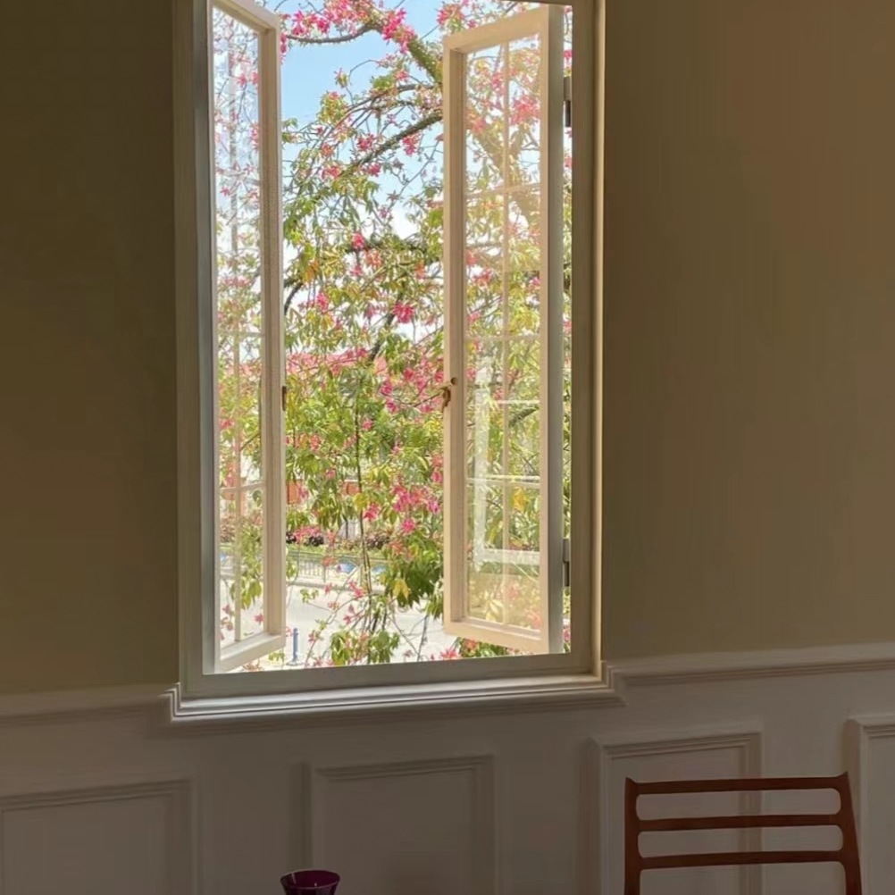 铁艺隔断平开窗户阳光房落地窗卧室隔间厨房卧室采光钢化透明玻璃