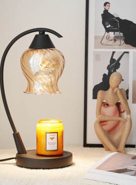 新款家居玫瑰花玻璃香薰融蜡灯香薰精油融烛卧室氛围台灯礼物