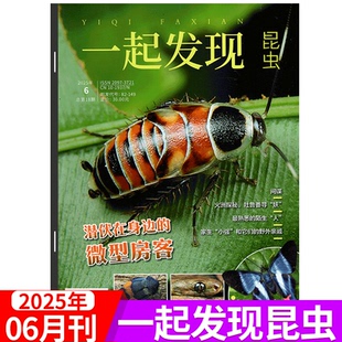 昆虫植物大百科 12月共12期订阅 中小学生课外科普 2025年6月上市 一起发现昆虫杂志 2025年1 16岁青少儿少年