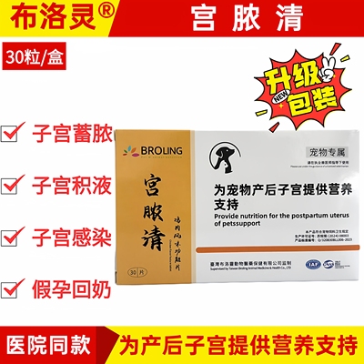 台湾宫脓清狗子蓄感染猫咪