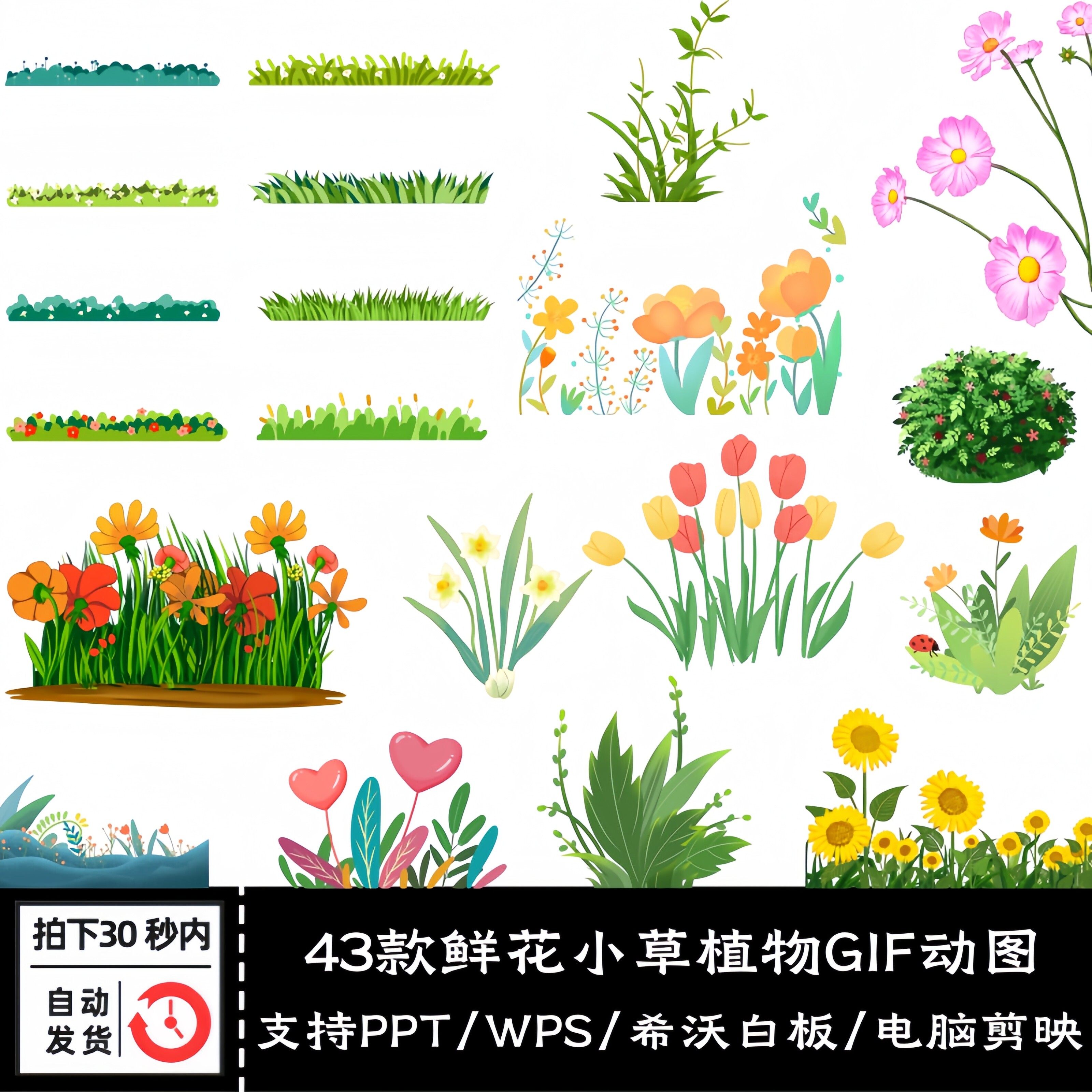 手绘卡通鲜花植物小草花卉免扣动态图ppt/剪映gif透明背景插画