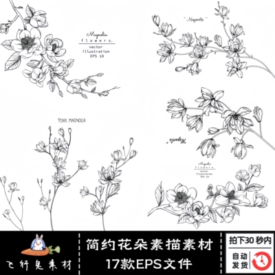 中国风简约黑白鲜花花朵花枝玉兰花线描线条素描图片插画设计素材
