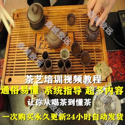 茶道茶艺视频教程茶文化红绿白茶茶艺师自学培训零基础课程素材