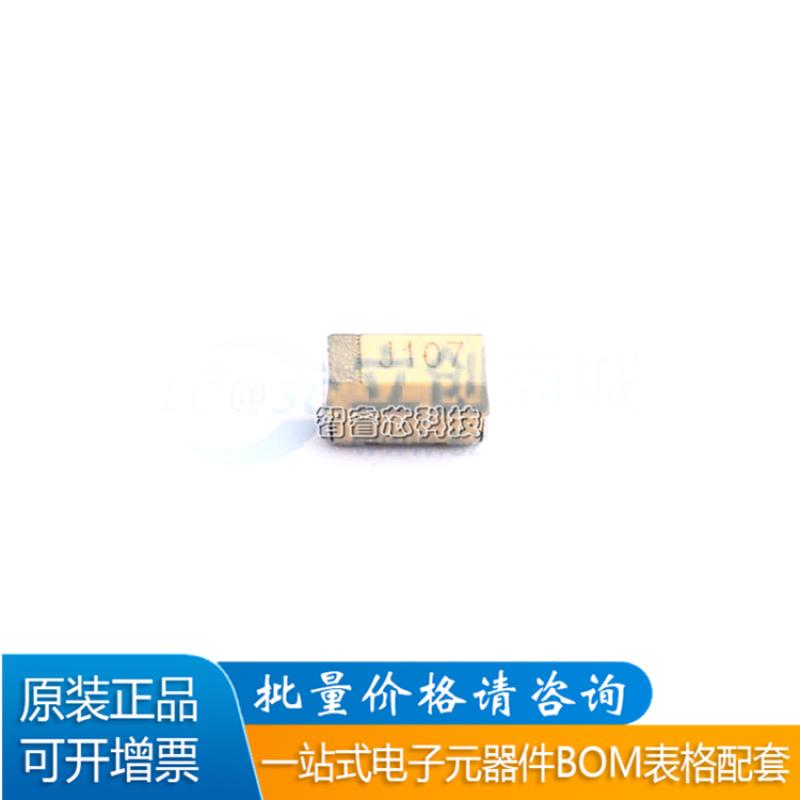 CA45-A6R3K107T钽电容