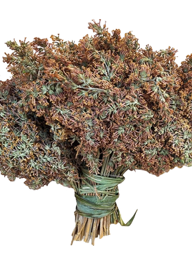 250g密蒙花五色套装纯植物