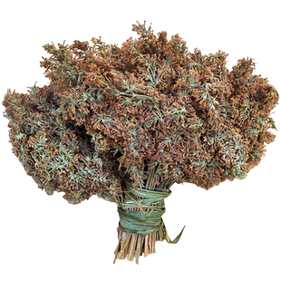 密蒙花250g染饭花五彩米花米饭天然染色植物七彩大米粽子饭团材料