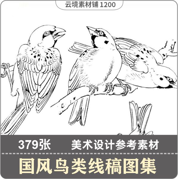 中国风鸟类线稿 工笔画图片素材 动物美术绘画参考图