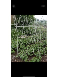 50支优恵拍农用拱棚杆扶苗支架挂面杆小拱棚杆玻璃纤维棒锚固棒i.