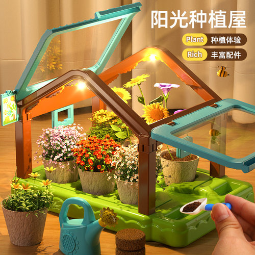 儿童种植小盆栽迷你植物生长观察种花种子小学生种菜幼儿园阳光房