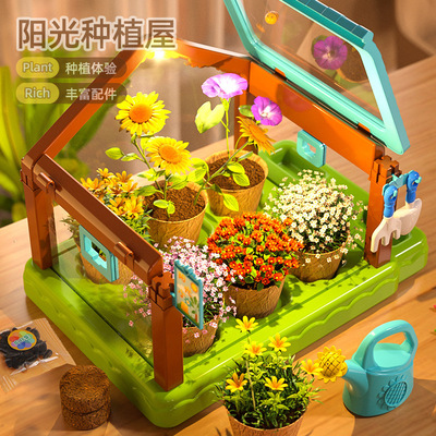 儿童种植小盆栽宝宝迷你开心农场草头长草娃娃种花幼儿园植物观察