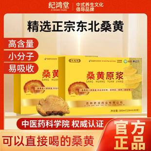 正宗吉林长白山桑黄饮品原浆口服液正品非西藏野生康美莱桑黄原浆