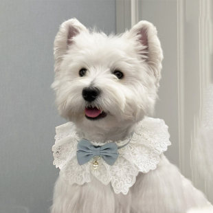 西高地口水巾小狗狗围兜围巾围嘴项圈装饰配饰品雪纳瑞比熊小型犬