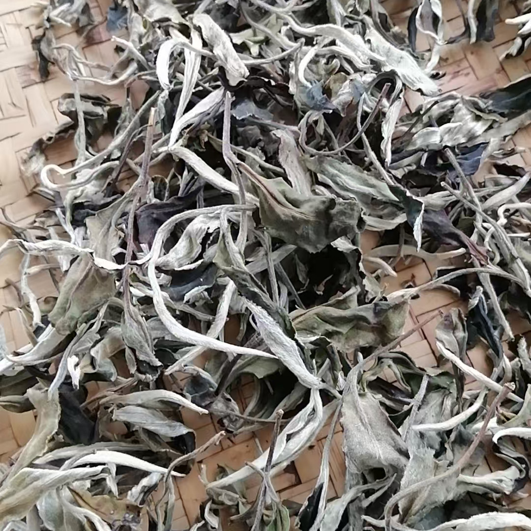 茶农自产 2024年月光白(二叶白)500克 一芽二叶 花香清甜