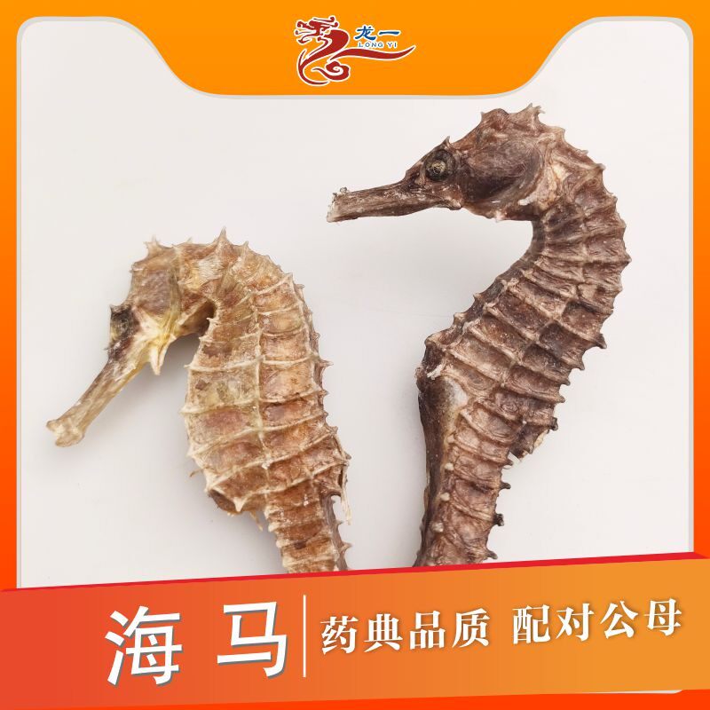 海马干货中药材海马温肾助阳中药材店铺公母一对泡酒煮煲汤料