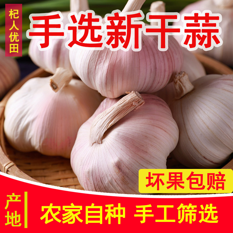 【杞人优田】新干蒜5斤/10斤大蒜河南紫皮新鲜蔬菜批发大蒜2斤3斤,水产肉类/新鲜蔬果/熟食,大蒜,淘宝优惠券,粉丝福利购,淘宝优惠卷