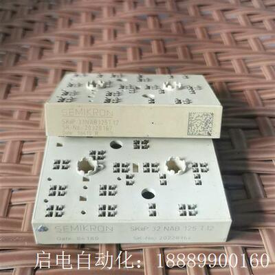 skiip31nab125t12skiip32Unab125