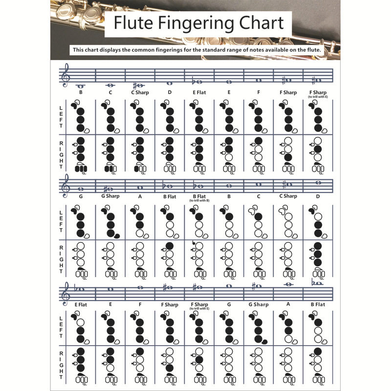 长笛和弦指法图 Flute Chord长笛和弦指法表 长笛练习对照图