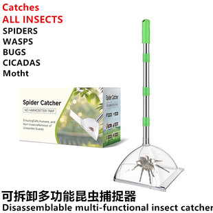 蜘蛛和昆虫捕捉器32英寸可调节折叠长柄蜘蛛捕捉器和释放器