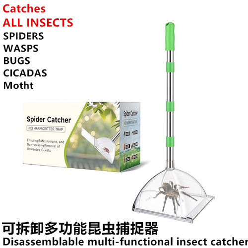 【热卖10000+捕虫抓昆虫神器】