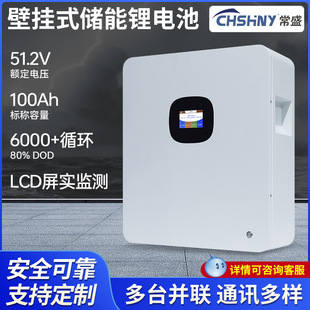 PACE 壁挂式 亿纬电芯 家用储能锂电池51.2v100ah BMS 触摸屏