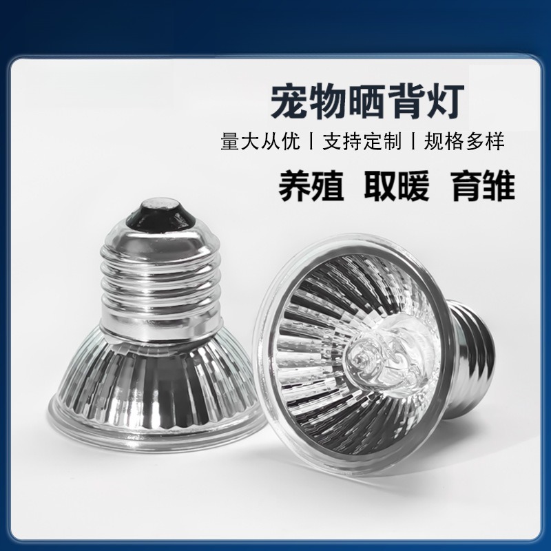 照明加热灯取暖保温灯乌龟晒背灯