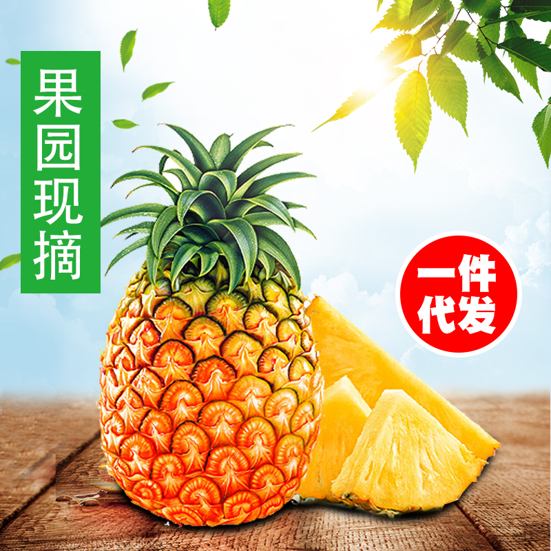凤梨金钻凤梨海南甜蜜蜜凤梨台农无眼菠萝非牛奶凤梨手撕菠萝整箱
