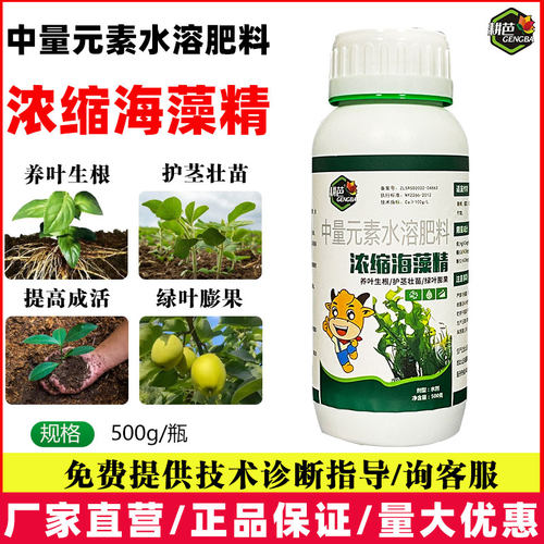 耕芭浓缩海藻精500ml