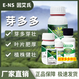 因艾氏芽多多套餐促进茶叶分化健壮植株叶片肥厚提质增产水溶肥料