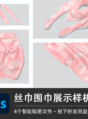 围巾丝巾春秋围脖装饰领巾样机模型花样贴图效果PSD服装设计素材