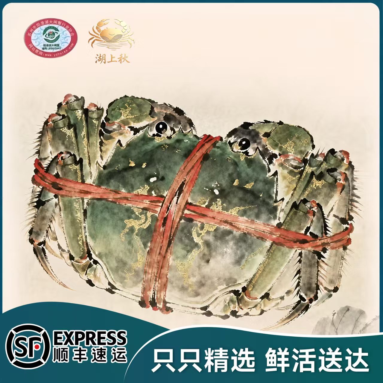 活蟹现货苏州阳澄精品大闸蟹
